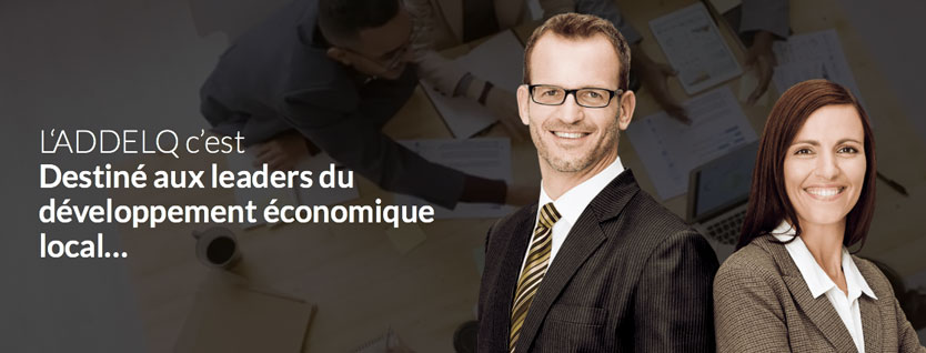 Site Internet ADDELQ